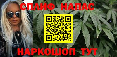 индика Апшеронск